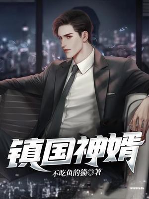 镇国神婿最新章，荣耀与责任的深度探讨
