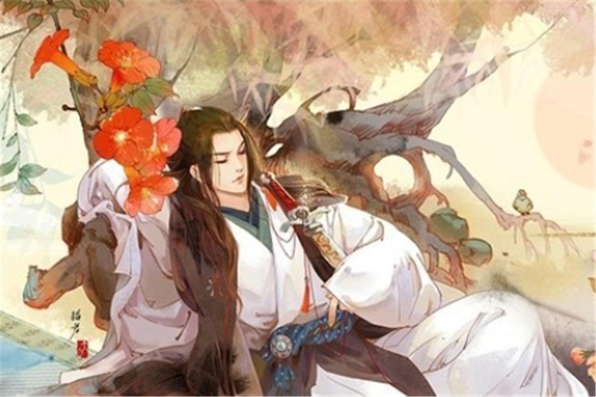 官场桃花运最新章节探秘，权力与情感的交织