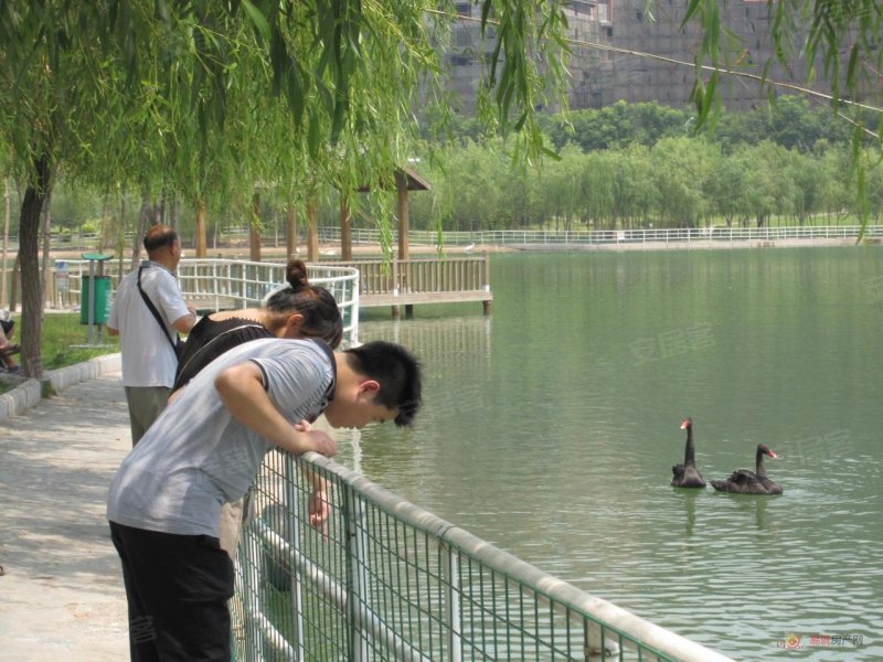 郑州悦湖会最新动态，湖畔温馨日常揭秘
