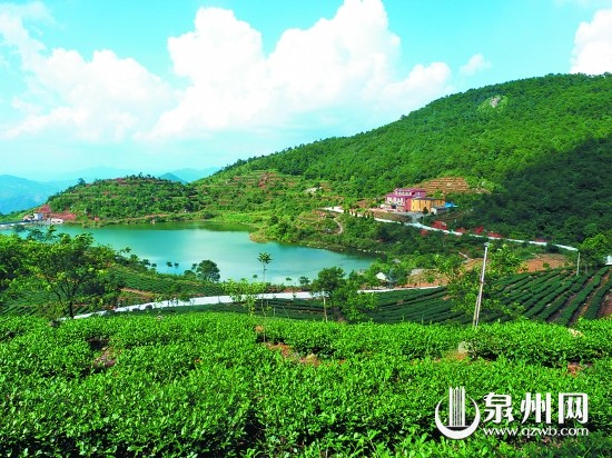 安溪湖上乡最新消息,安溪湖上乡最新消息，小巷深处的独特风味