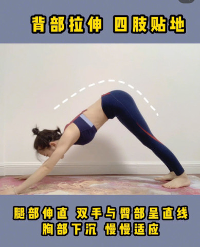 最新背法，高效记忆新时代引领之路