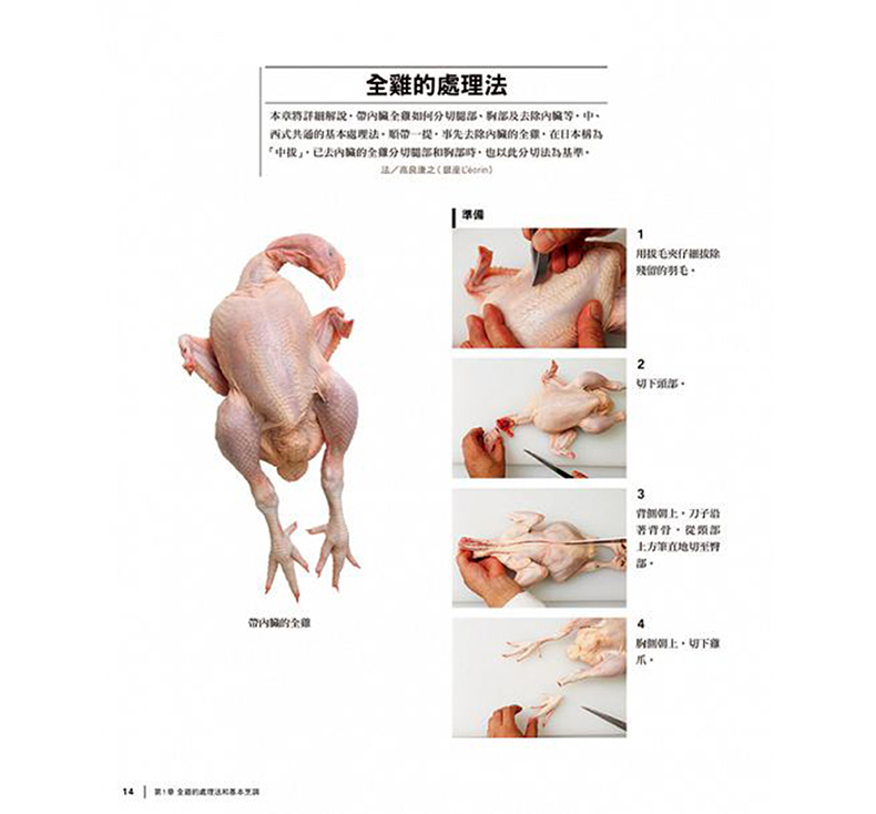 最新杀鸡法详细步骤指南与操作技巧解析