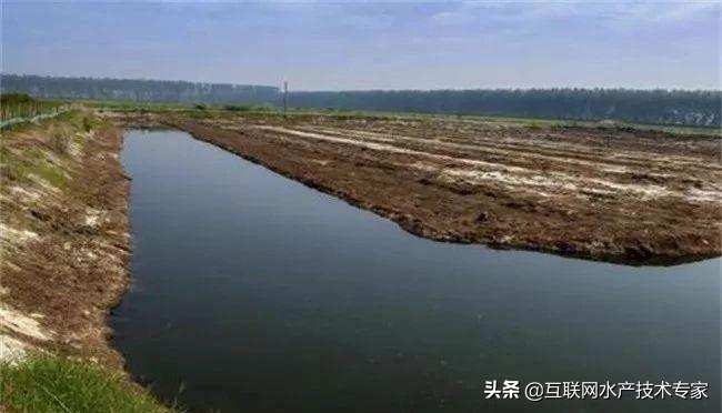 绞胎陶瓷工艺品开发 第44页